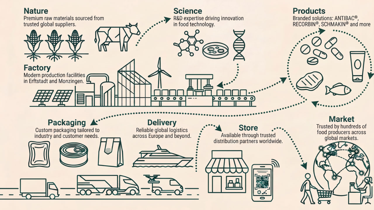 Reinert Gruppe Value Chain — from Nature to Market